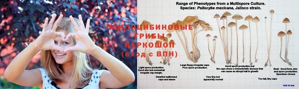 молекула духа Майский