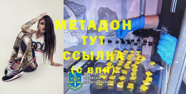 прущие грибы Магас