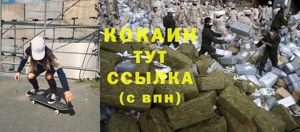 прущие грибы Магас