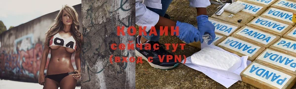 молекула духа Майский