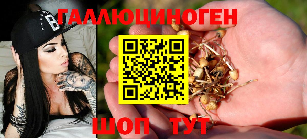 Галлюциногенные грибы мицелий Печора