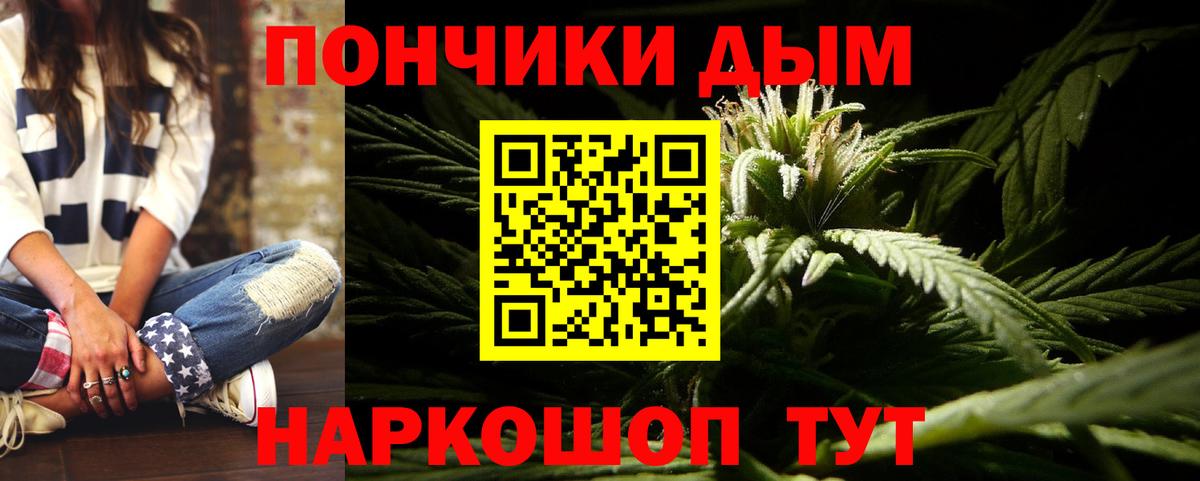 Каннабис сатива Печора